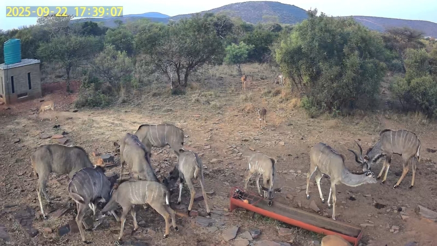 Commercial Property for Sale in Groot Marico Rural North West